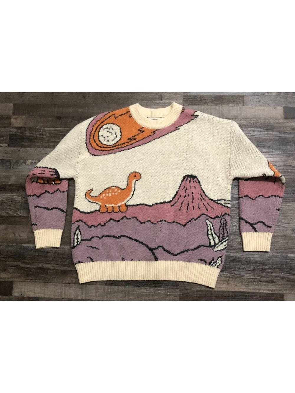 Aelfric Eden Adult Medium Sweater Dinosaur Print Long Sleeve Knit